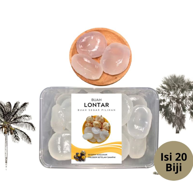 

Buah Lontar Muda Premium Segar (isi 20 biji) | Siap Konsumsi