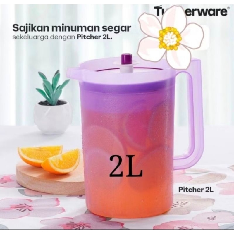 pitcher 2L pitcher teko 2 liter ungu malaysia