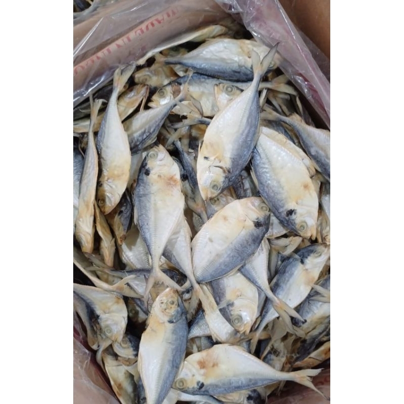 

ikan selar