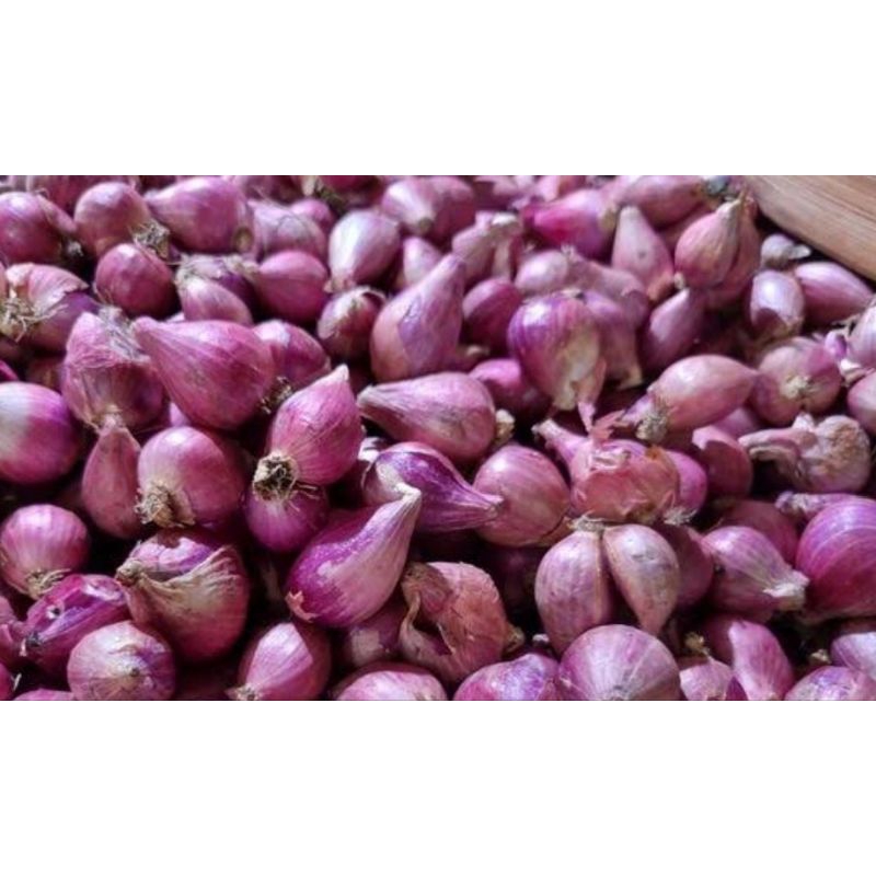

Bawang Merah Kering 1pack KIRIM INSTAN