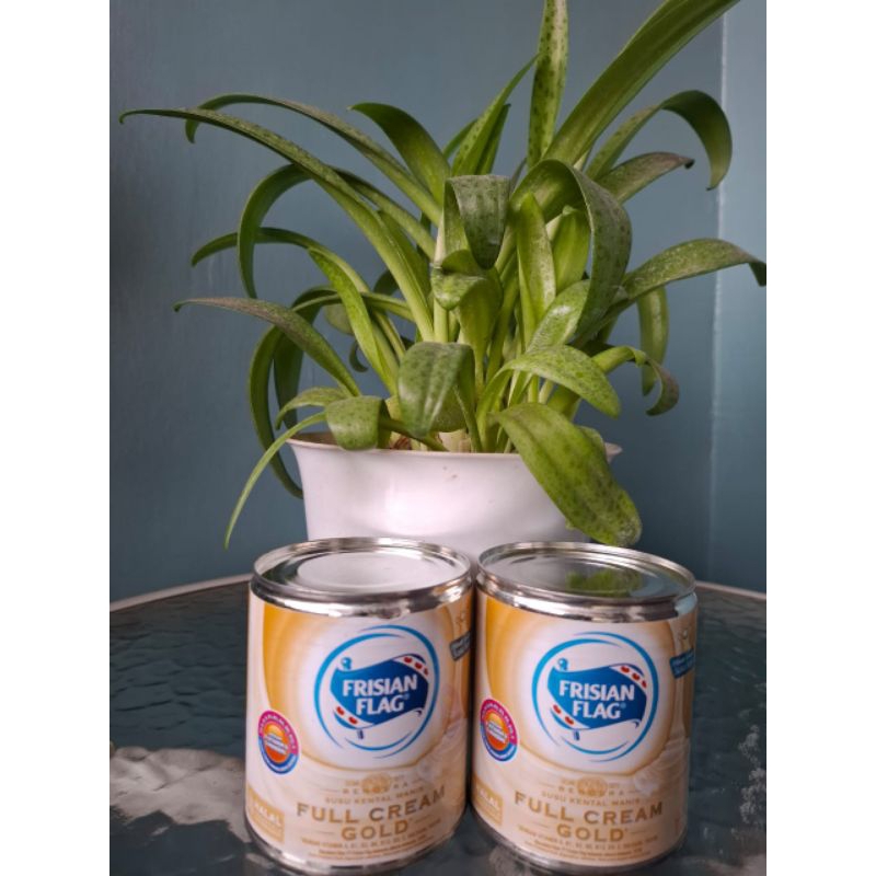 

SKM frisian flag full cream gold