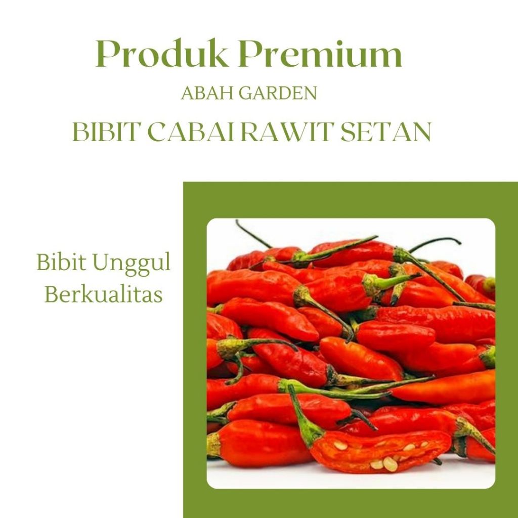 Benih Cabai Rawit Setan Bibit Benih Cabai Rawit Setan Bibit Unggul