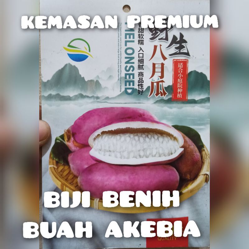 kemasan premium biji benih buah akebia impor