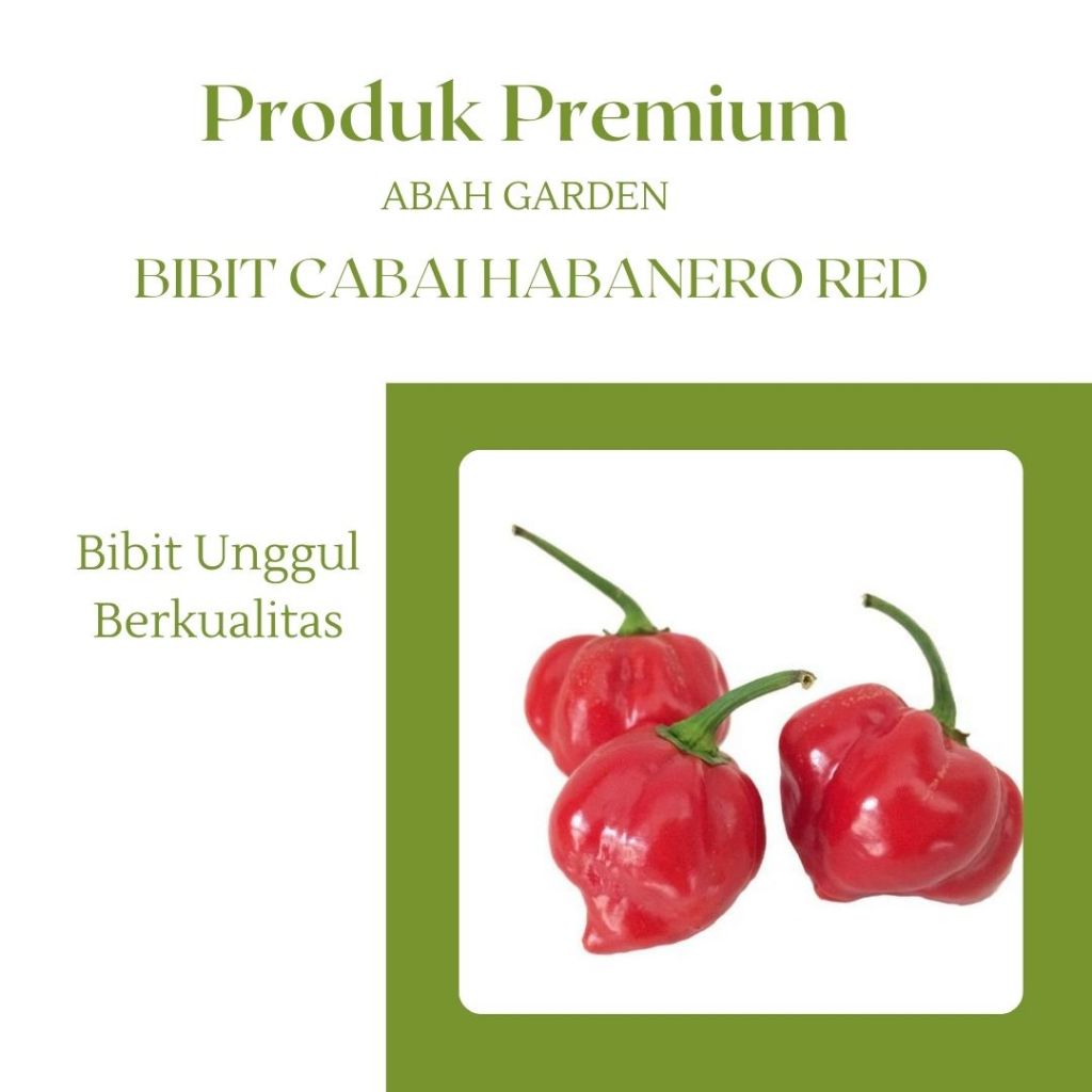 Benih Cabai Habanero Bibit Benih Cabai Habanero Red Bibit Unggul