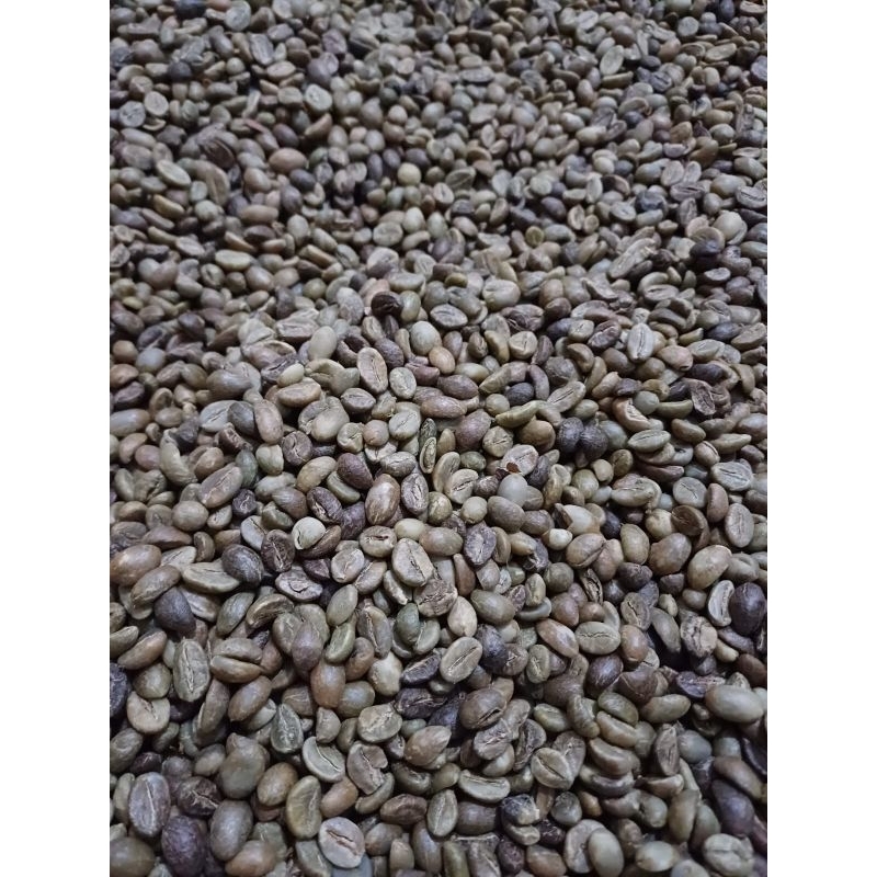 

Biji kopi robusta asalan khas kendal