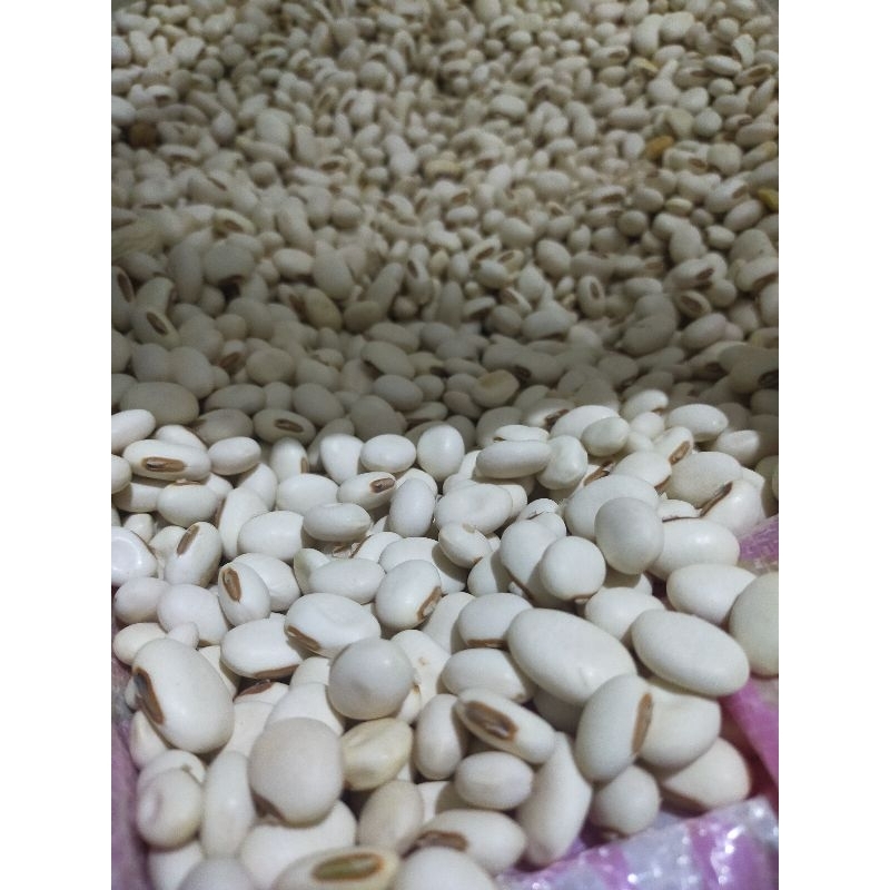 

Kacang koro Binong / pedang 1kg