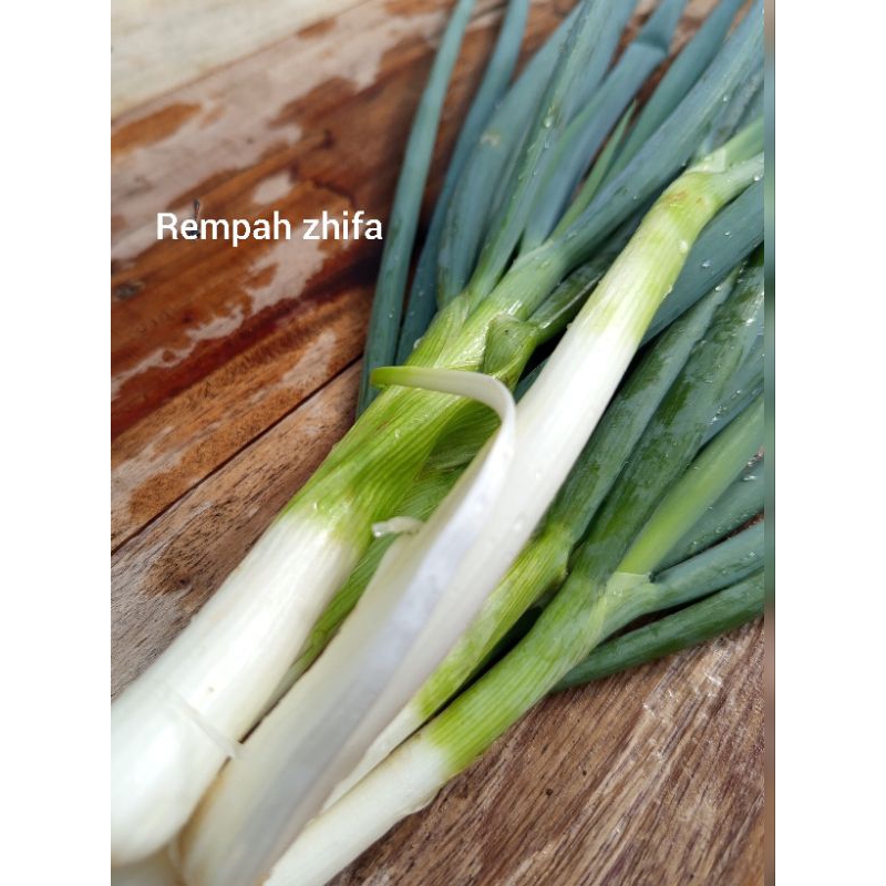 

daun bawang segar 150g / 500g / 1000g langsung di ambil dari kebun