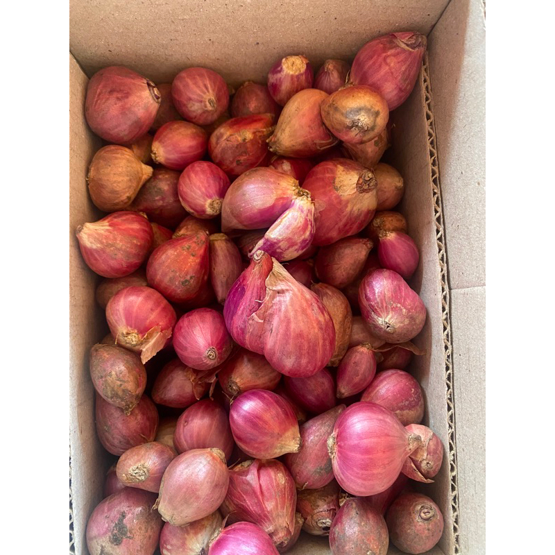 

Bawang merah tagung1kg