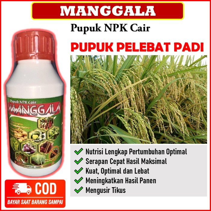pupuk NPK Cair Pelebat Padi terbaik - MANGGALA Pupuk NPK Cair Plus pengusir tikus - Obat semprot mel