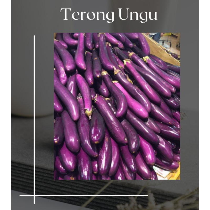

Terong ungu 1/2kg