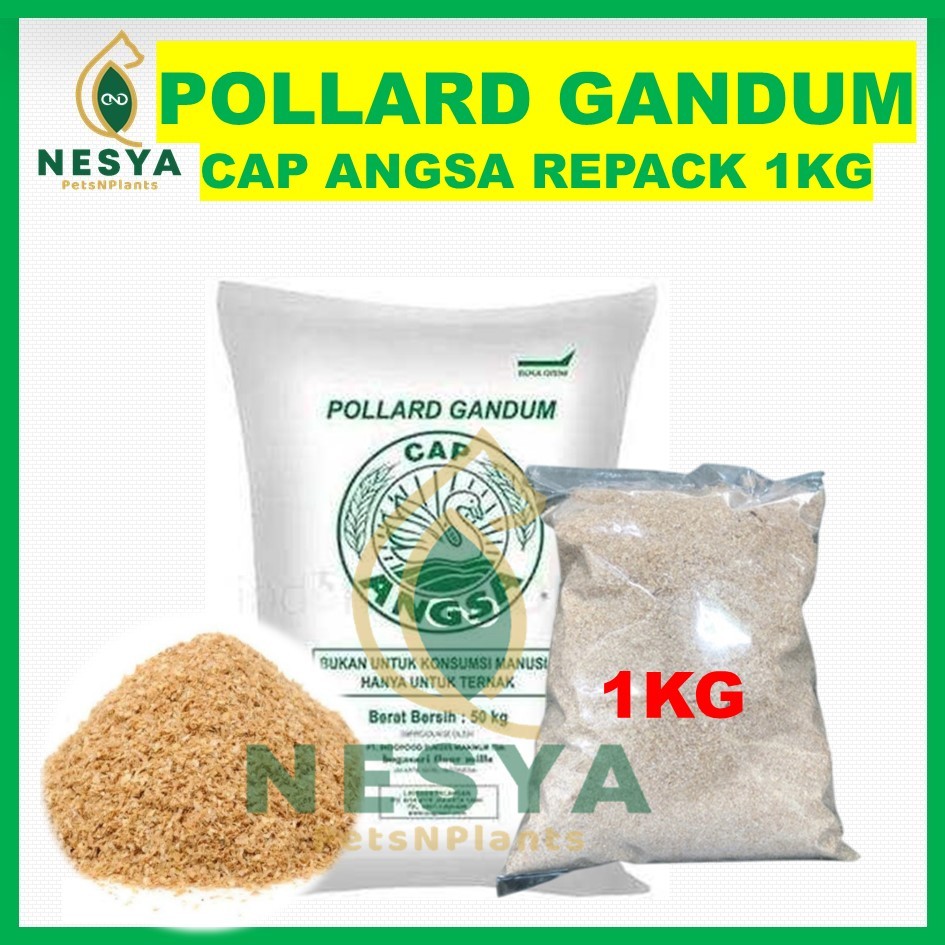 Pollard Cap Angsa Bogasari / Polar Angsa Kemasan Repack1kg