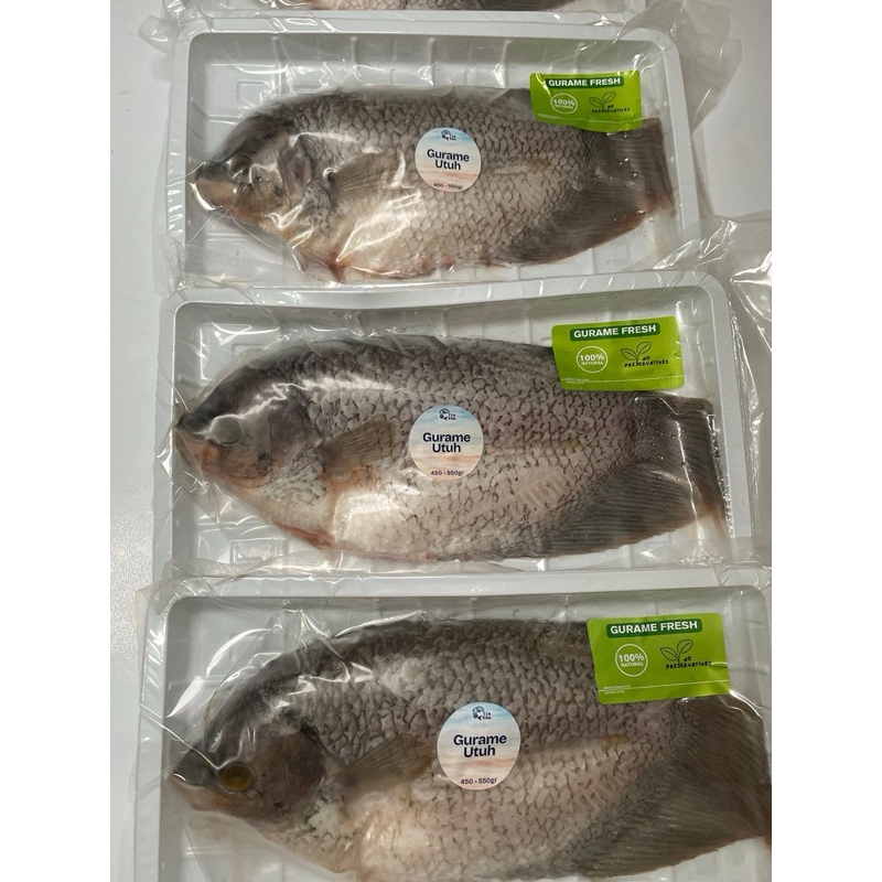 

Tsakha Fish- Gurame Organik Pakan Alami