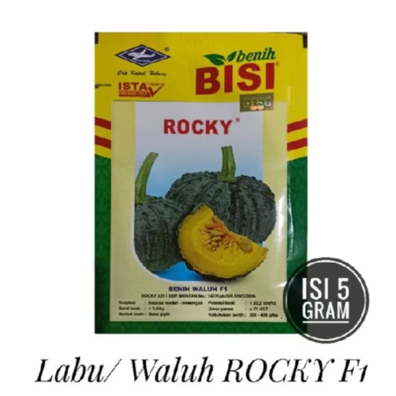 Bibit labu kuning