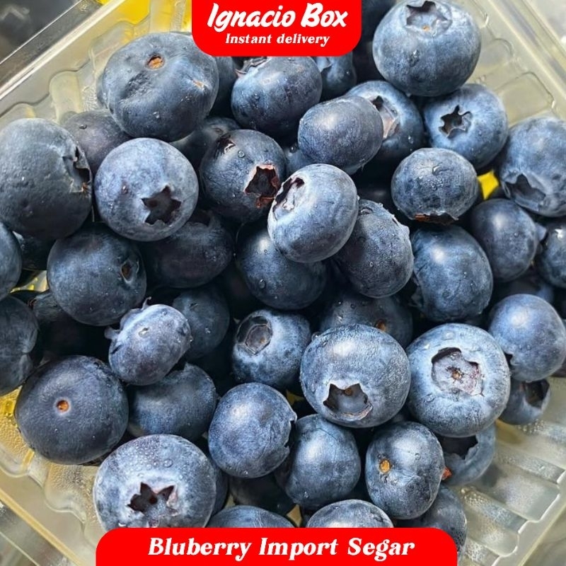 

Blueberry Import Manis Segar Murah | Bluberry Fresh Impor IgnacioBox
