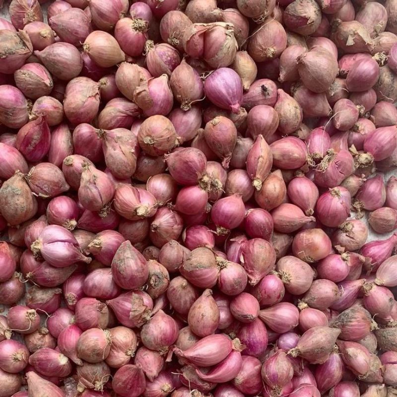 

Bawang Merah 1 kg