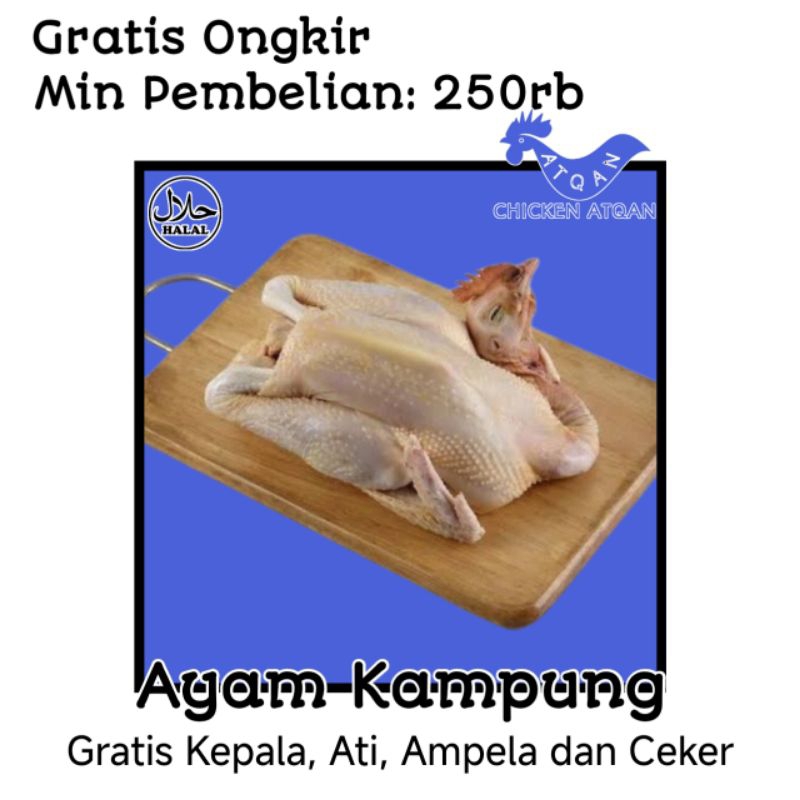 

AYAM KAMPUNG FRESH 8-9 ONS (Berat Hidup) DAGING POTONG FRESH
