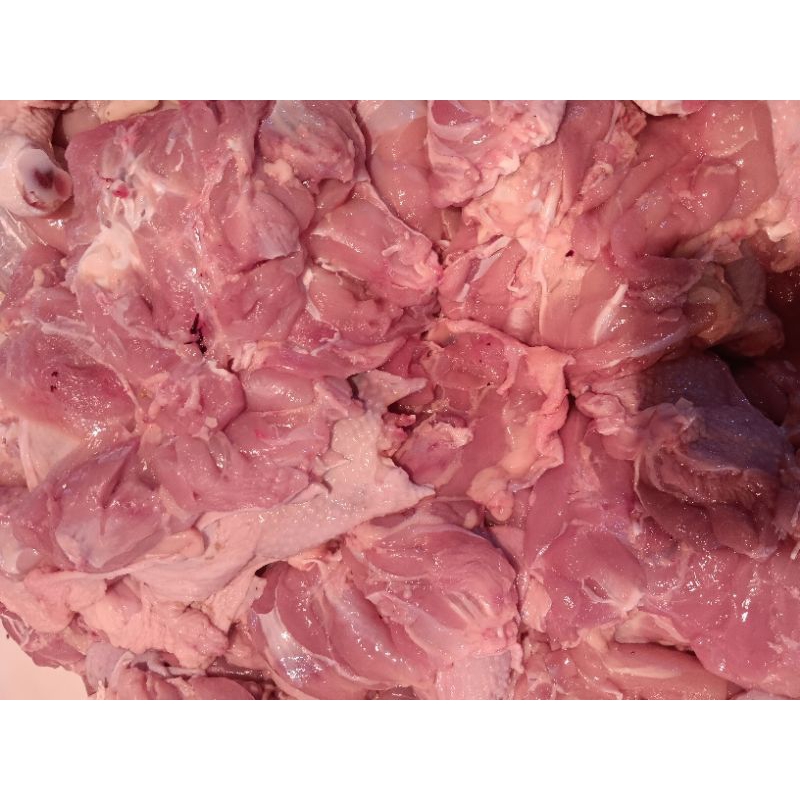 

paha ayam pilet segar 500gr