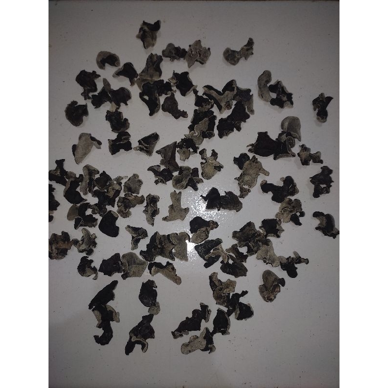 

JAMUR KUPING KERING RENCEKAN/KECIL SORTIR