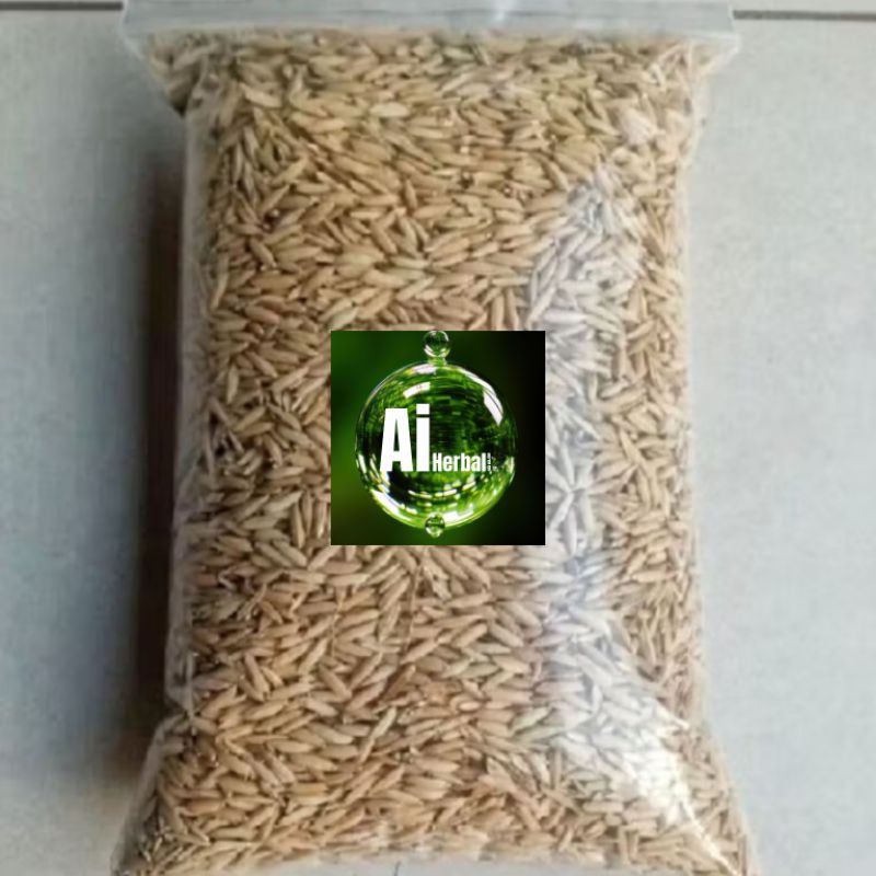 Bibit padi beras merah 1kg