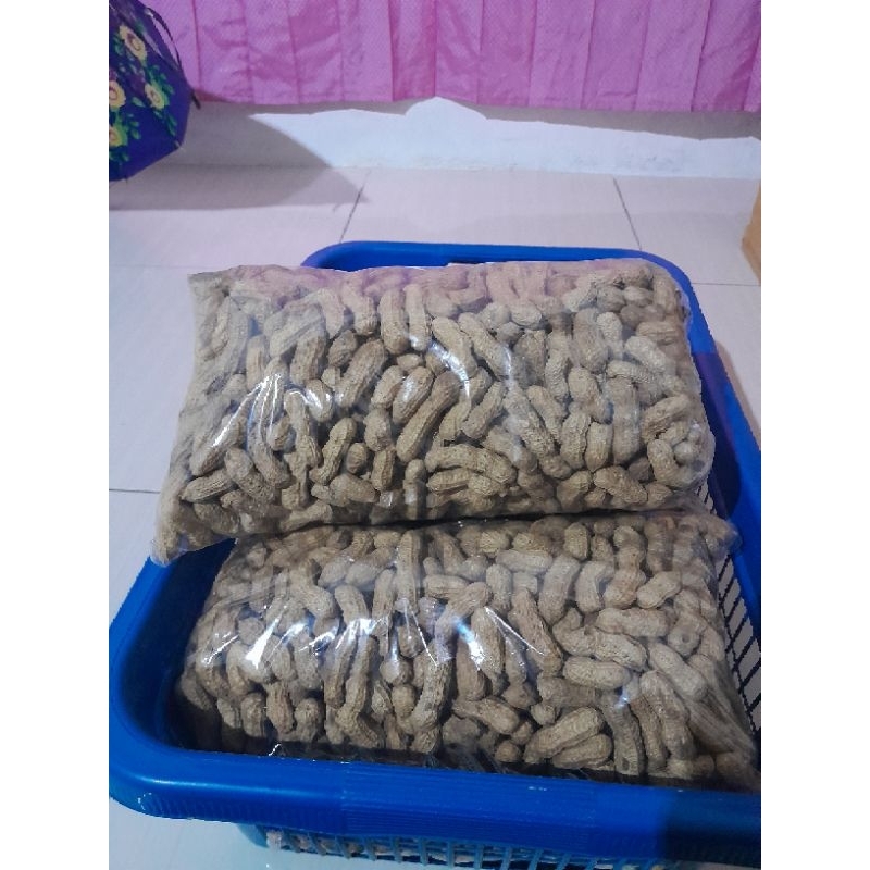 

kacang kulit sangrai