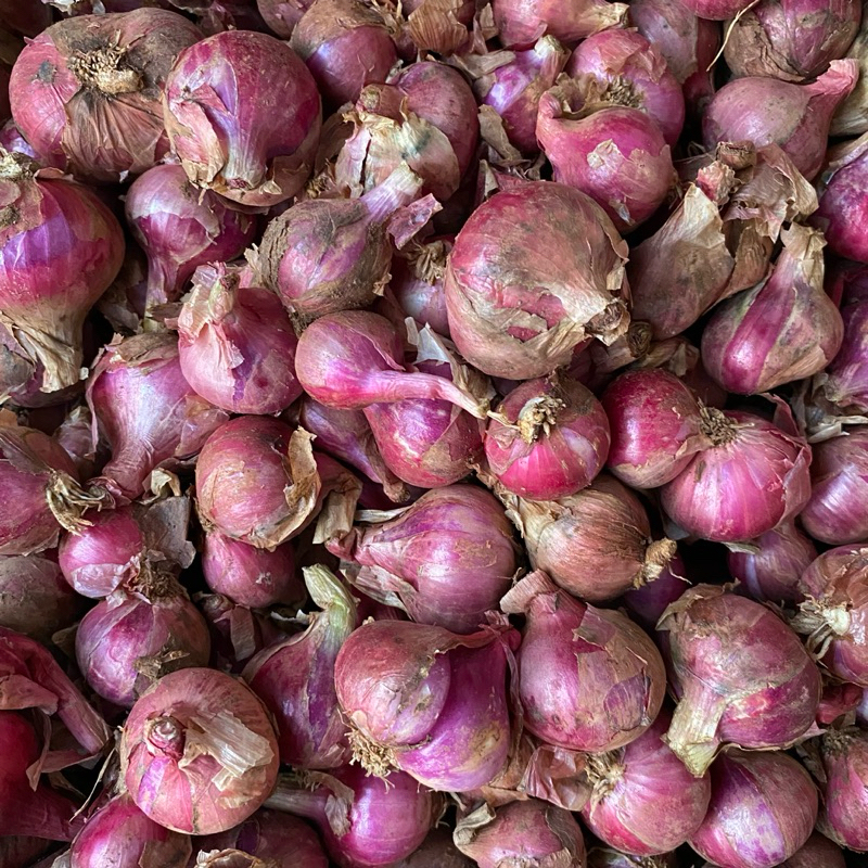 

Bawang Merah Lokal Bali Karet Bawang Sayur Super Langsung Dari Kampung 250 Gram 500 Gram 1 Kg