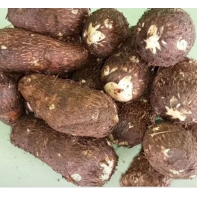 

Talas kimpul 100%super pulen per 1 kg
