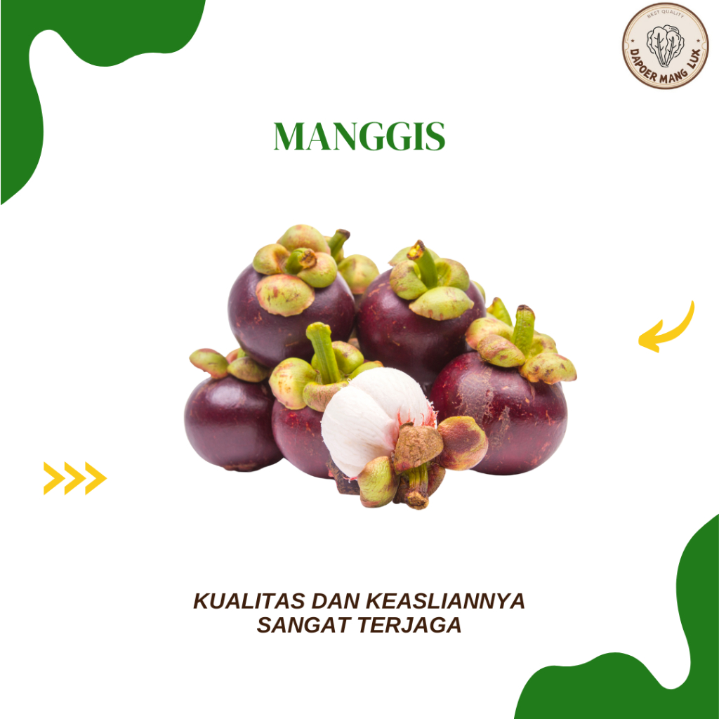 

EKSTRAK BUAH MANGGIS BEST SELLER