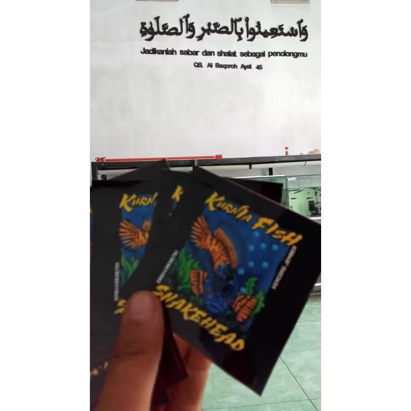 Sticker asiatica leucistic jumbo