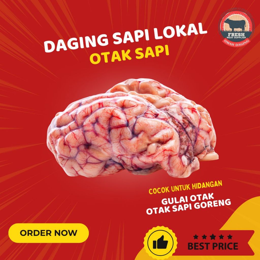 

Otak Sapi Lokal Utuh