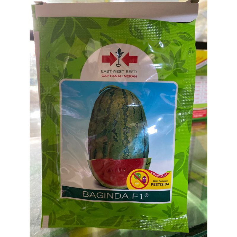 

Semangka Baginda F1