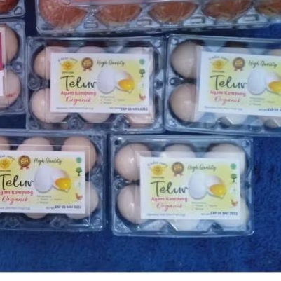 

PROMO TELUR AYAM KAMPUNG ORGANIC 6S/ 6 BUTIR
