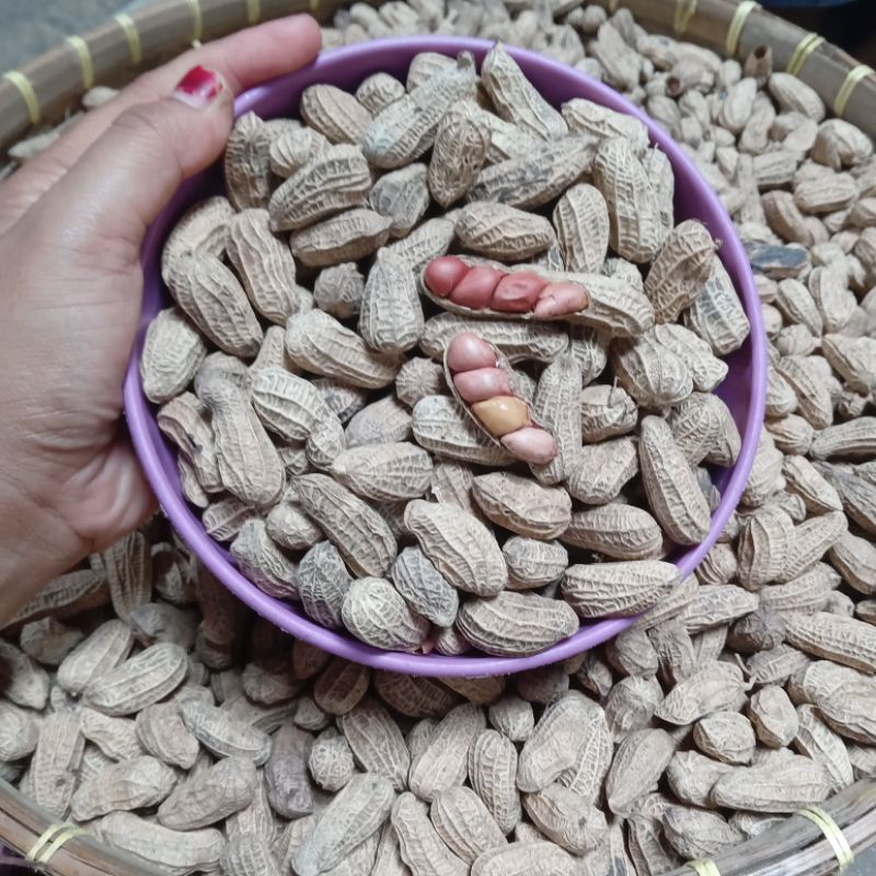

KACANG SANGRAI BENDO GURIH 10 KG