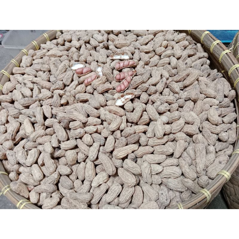 

KACANG KULIT SANGRAI BENDO 10 KG