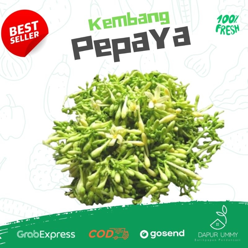 

Kembang Pepaya • Bunga Pepaya 100gr