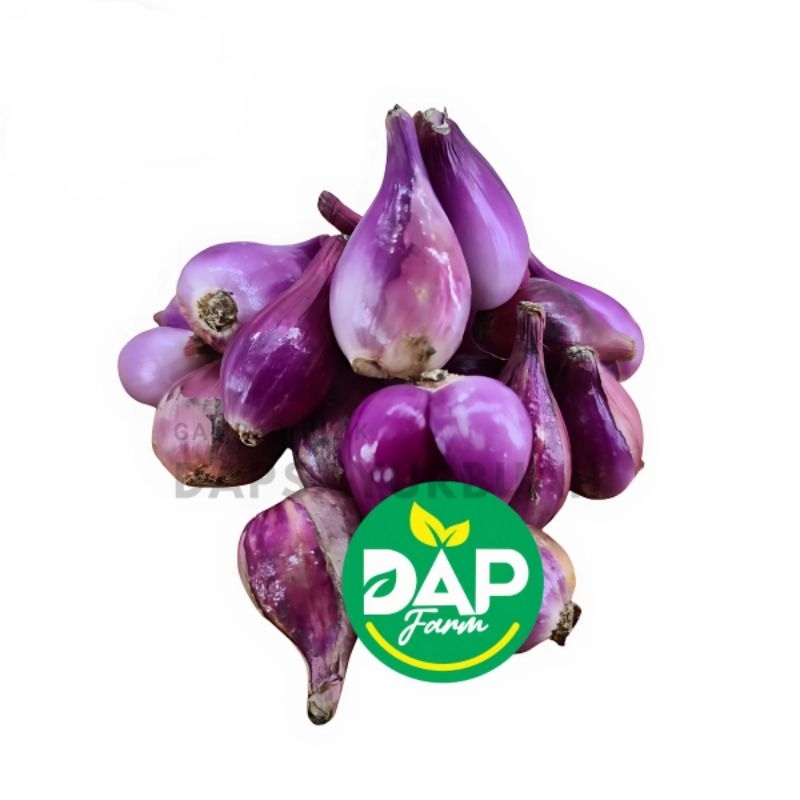 

Bawang Merah Kulit/ DAP Farm/ Sayur Segar Jakarta