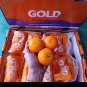 

Buah Jeruk Wogan Tangerine Pack Jual Per 1 Dus Karton