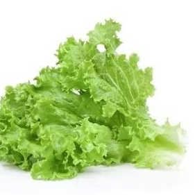 

Selada keriting 100 gr