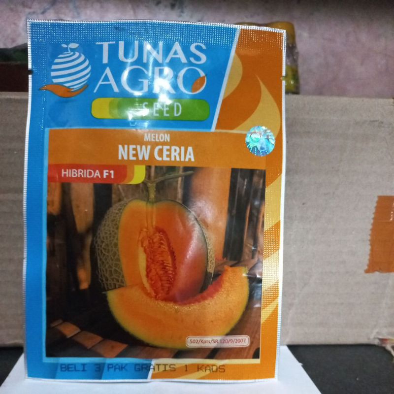 

Melon New Ceria