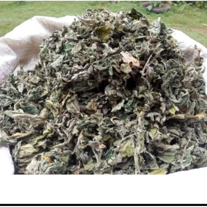 

(Promo) Daun Kersen Kering Obat Diabetes Perkantong