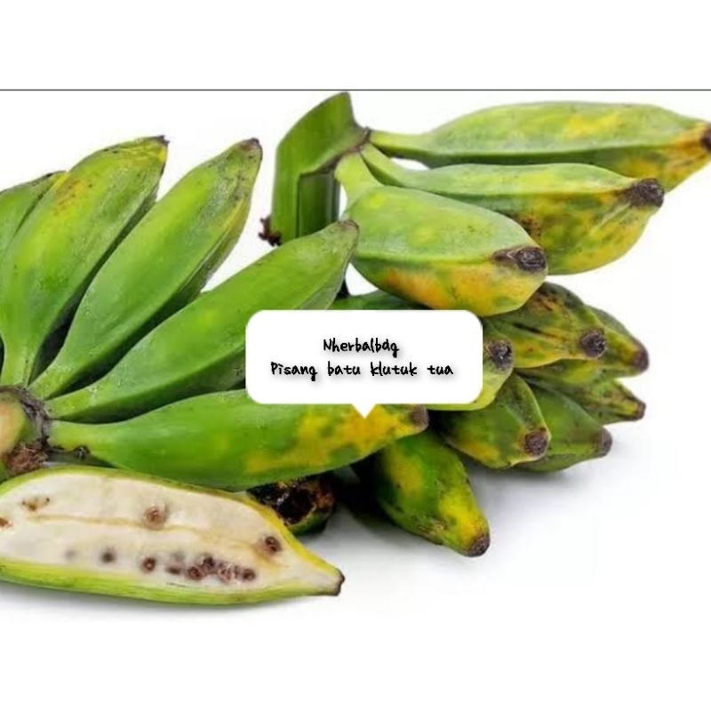 

buah pisang batu klutuk tua mau matang 1 sisir
