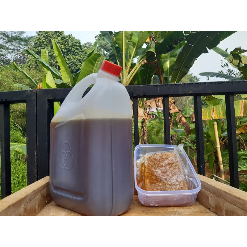 

Madu Murni Teratai Kemasan Jerigen 5kg