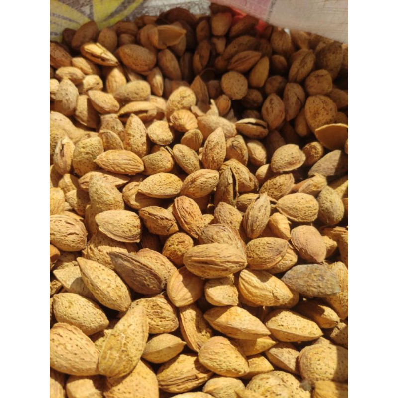 

Kacang Almond Kulit Panggang Milky 1kg