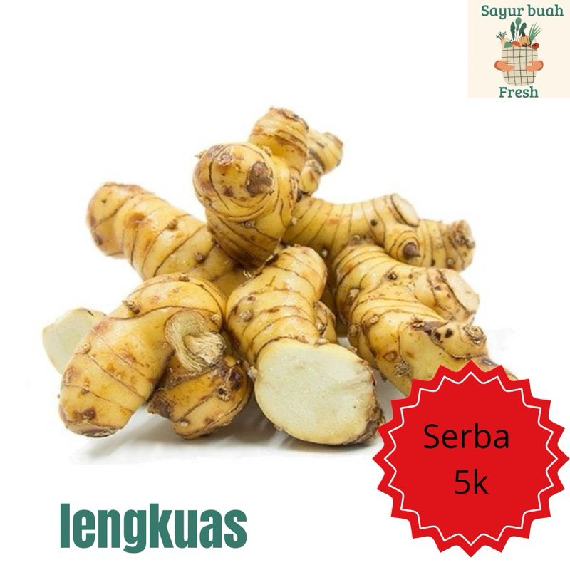 

lengkuas bumbu rempah masakan serba5rbu