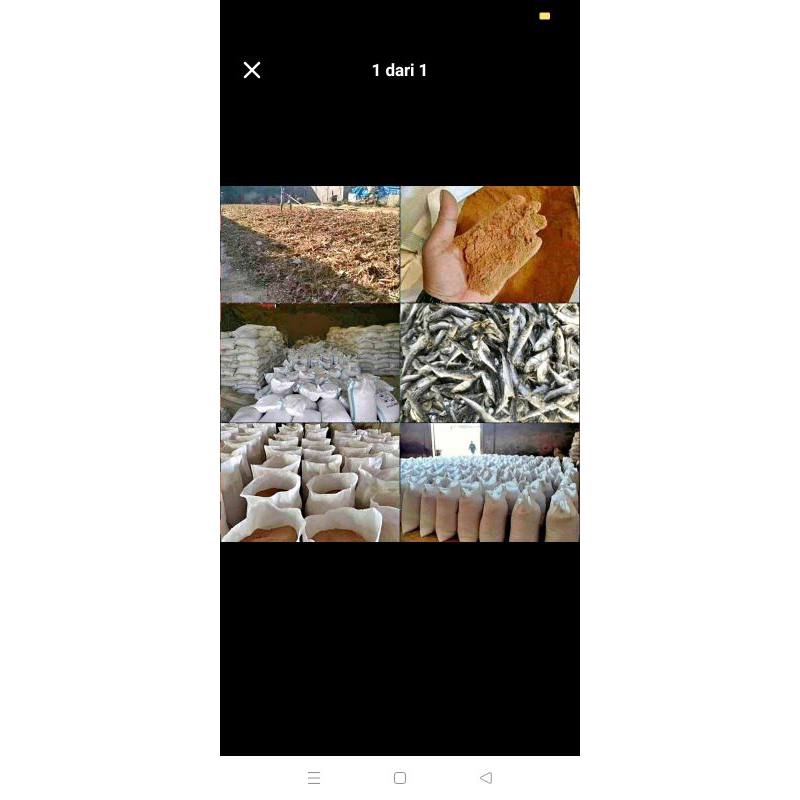 Tepung ikan murni protein 65%