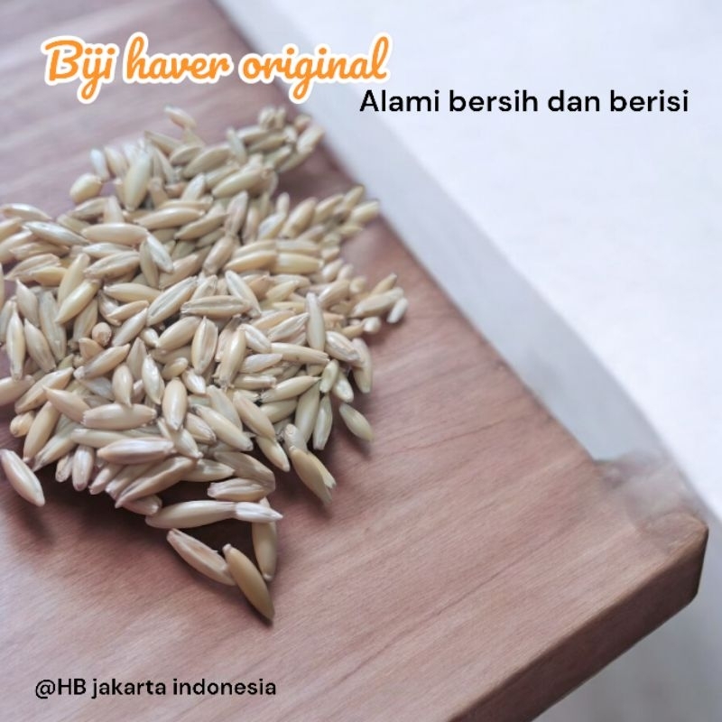 

Biji Haver Original Alami Bersih dan Berisi 100gr