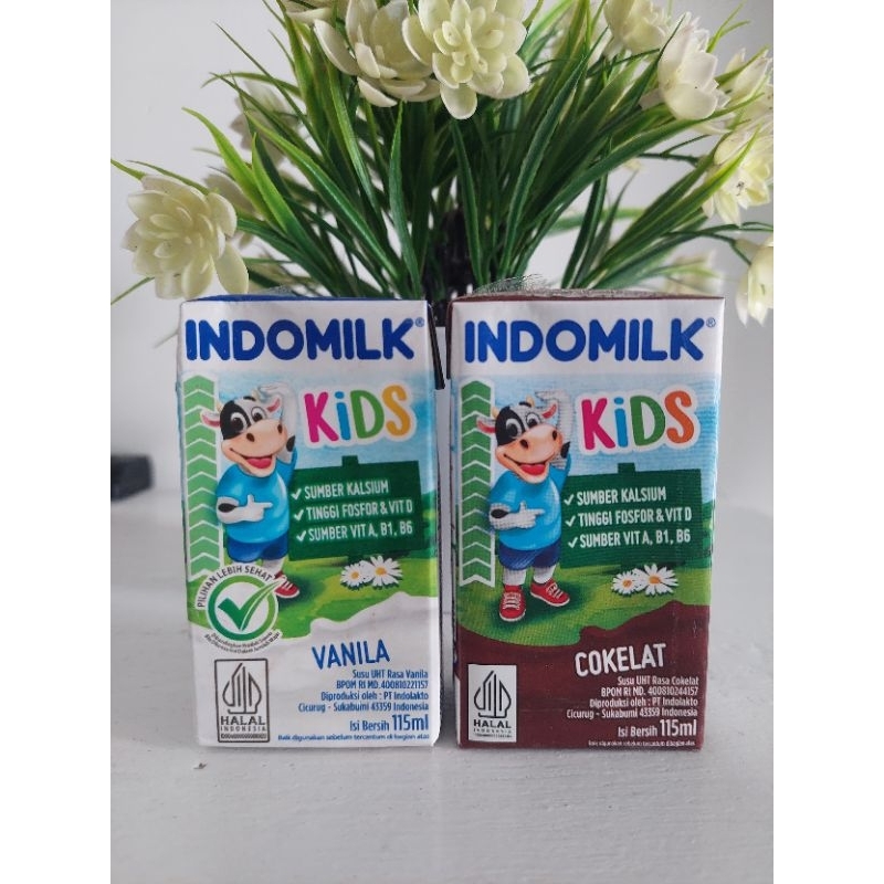 

susu indomilk kids