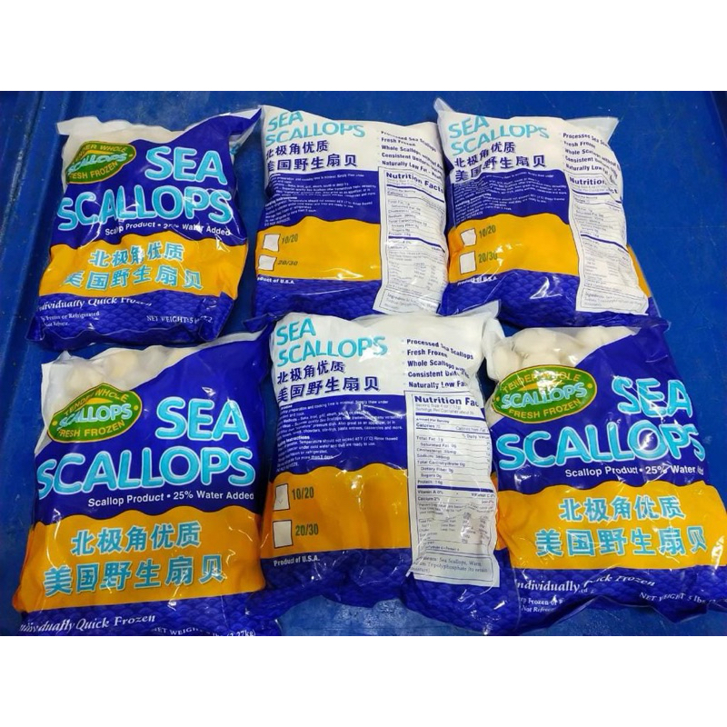 

Scallop Usa Kerang Kampak Frozen ukuran 10/20 per 2.27kg