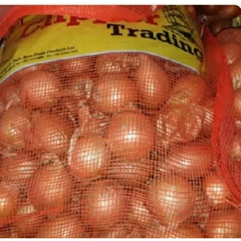 Bawang Bombay Ukuran Kecil