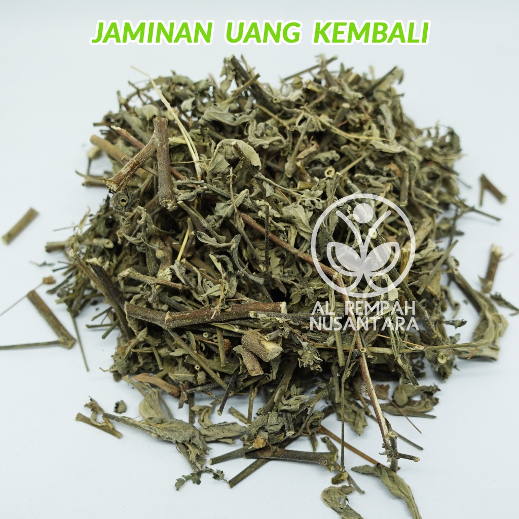 

Daun Sidaguri Kering 250gr Seleguri Bersih dan Organik