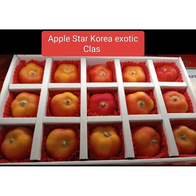

Apple buah apel 1 box isi 15 buah